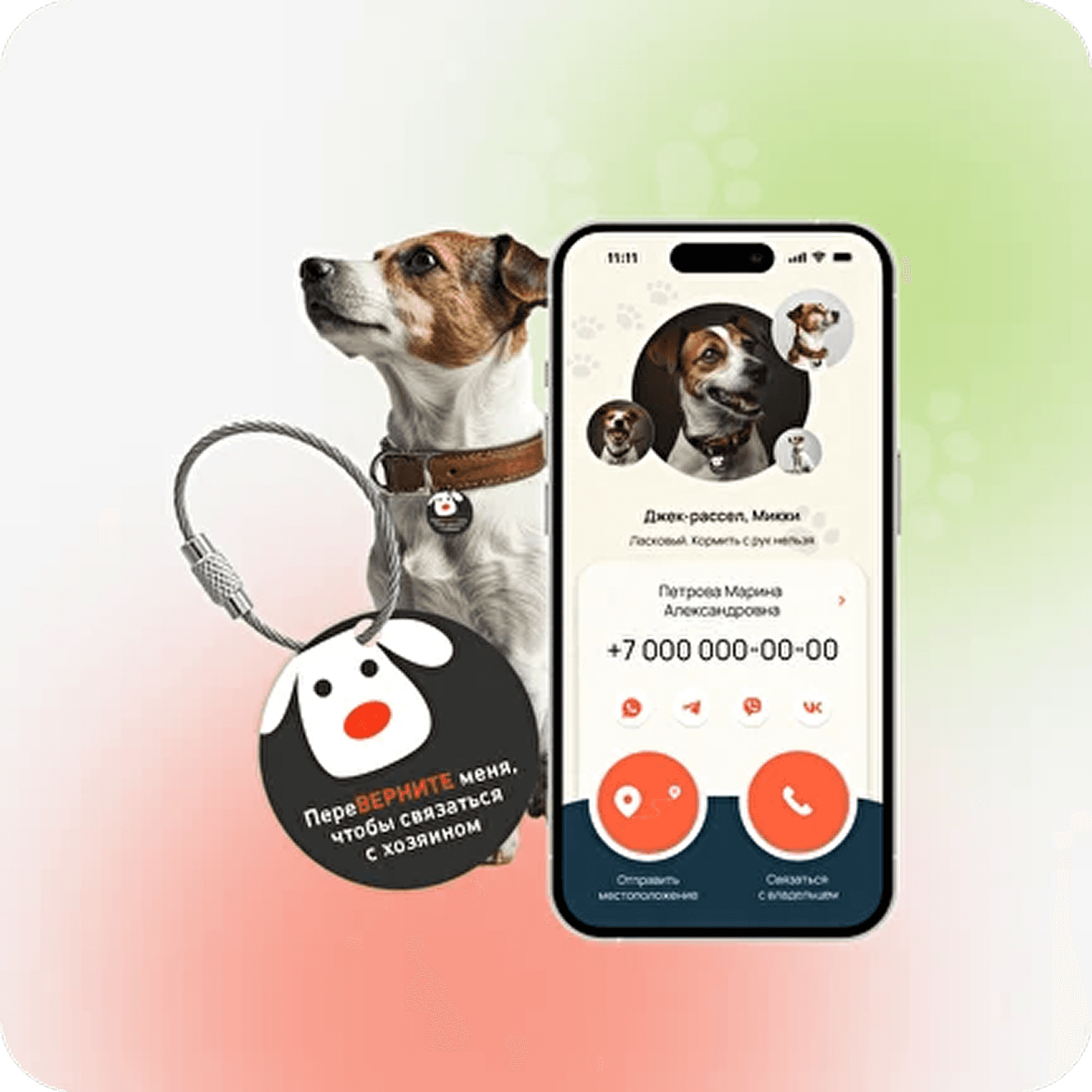 Smart QR tag for a collar